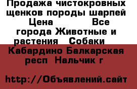 Продажа чистокровных щенков породы шарпей › Цена ­ 8 000 - Все города Животные и растения » Собаки   . Кабардино-Балкарская респ.,Нальчик г.